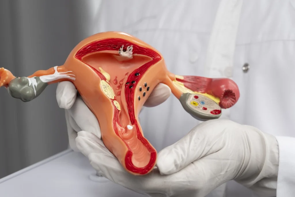 Curso-de-Anatomia-y-Fisiologia-del-Aparato-Reproductor-Femenino-2