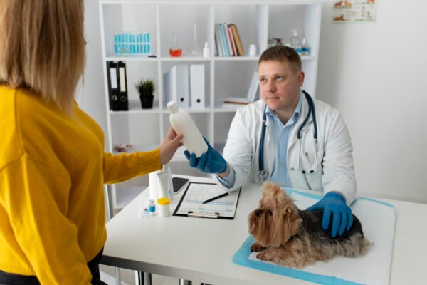 Curso de Urolitiasis Canina y Felina: Diagnóstico, Dieta e Intervención
