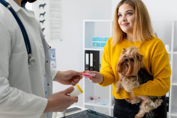 Curso sobre Programas de Adelgazamiento Basados en Evidencia (Perros y Gatos)