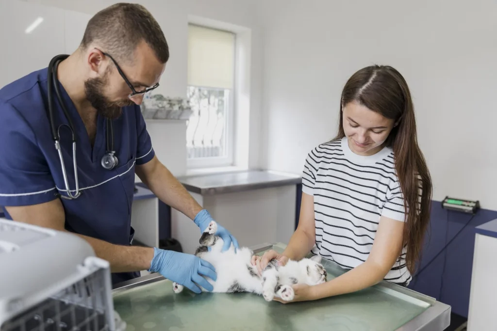 Diplomado en Atención Crítica Veterinaria Aplicada 2