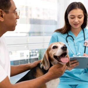 Diplomado en Atención Crítica Veterinaria Aplicada (ECC/UCI)