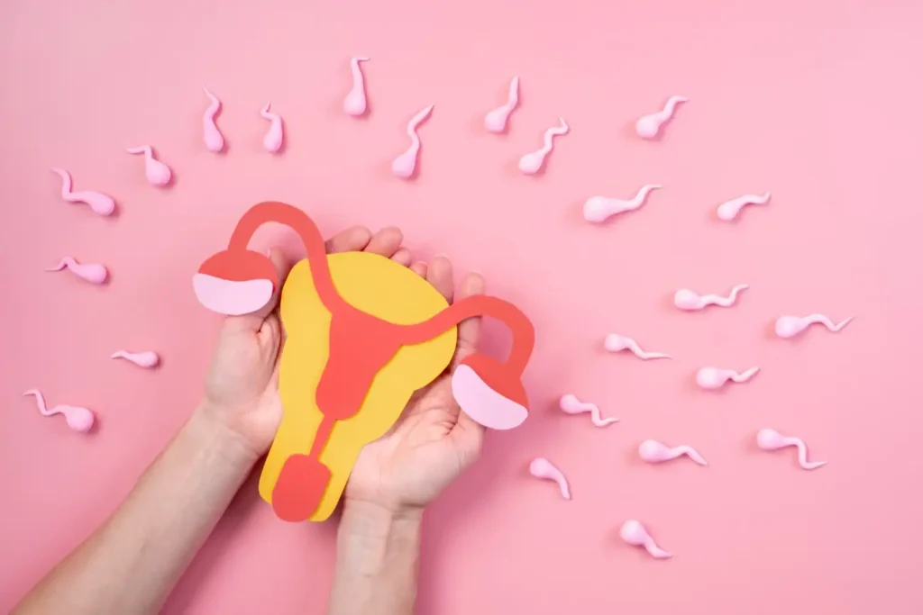 Diplomado en Ciclo Menstrual y Endocrinología Reproductiva 1