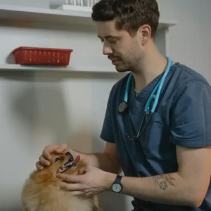 Maestría en Nutrición Clínica y Gestión de Peso en Pequeños Animales 1