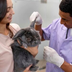 Maestría en Diagnóstico por Imagen en Pequeños Animales