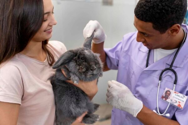 Maestría en Diagnóstico por Imagen en Pequeños Animales