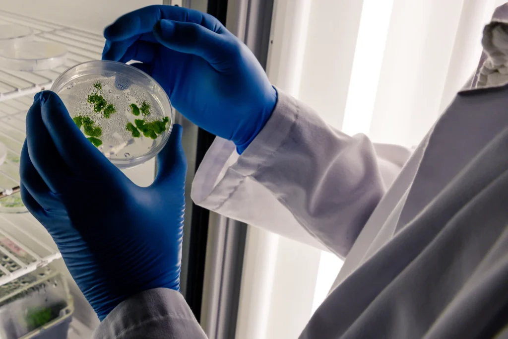 Diplomado-en-Muestreo-y-Analisis-de-Microplasticos-Ambientales-2