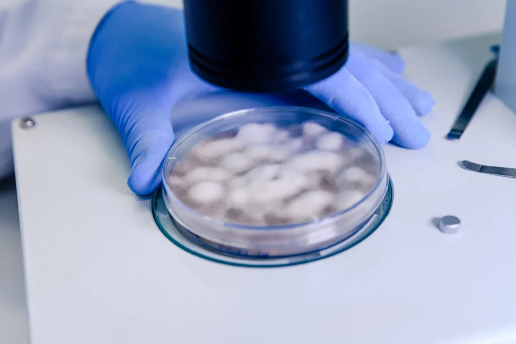 Diplomado-en-Tecnologias-de-Mitigacion-y-Tratamiento-de-Microplasticos-1