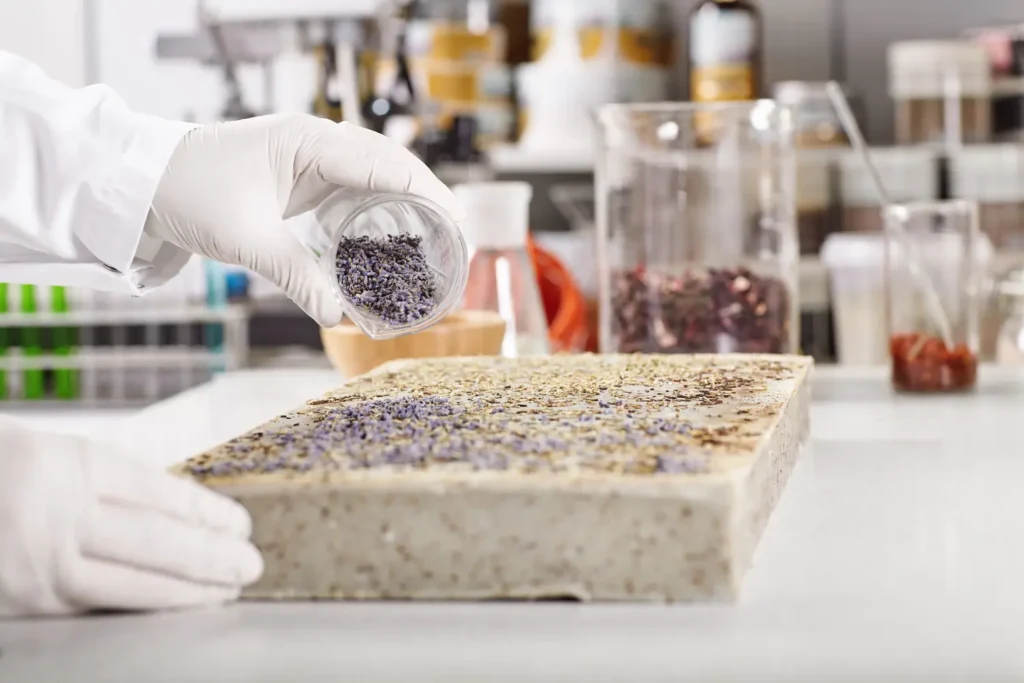 Maestría-en-Ciencia-y-Monitoreo-Ambiental-de-Microplasticos-2