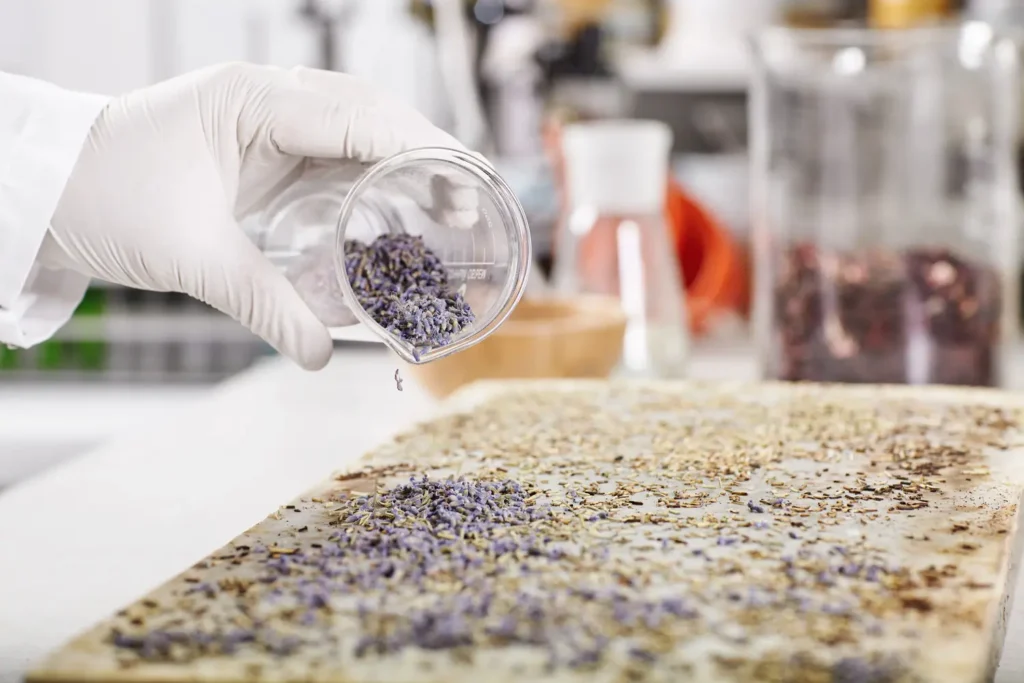 Maestría-en-Ingenieria-de-Tratamiento-y-Remediacion-de-Microplasticos-1