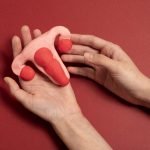 embriología y Desarrollo Sexual