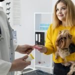 Curso-sobre-Programas-de-Adelgazamiento-Basados-en-Evidencia-Perros-y-Gatos-3-scaled-1.jpg