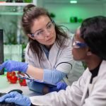 Medical team researchers talking about vegetarian meat