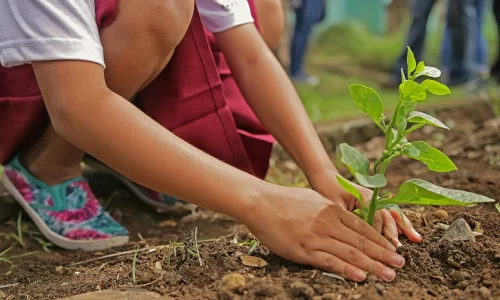 Curso Medio Ambiente