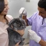 Master-en-Diagnostico-por-Imagen-en-Pequenos-Animales-3-scaled-1.jpg